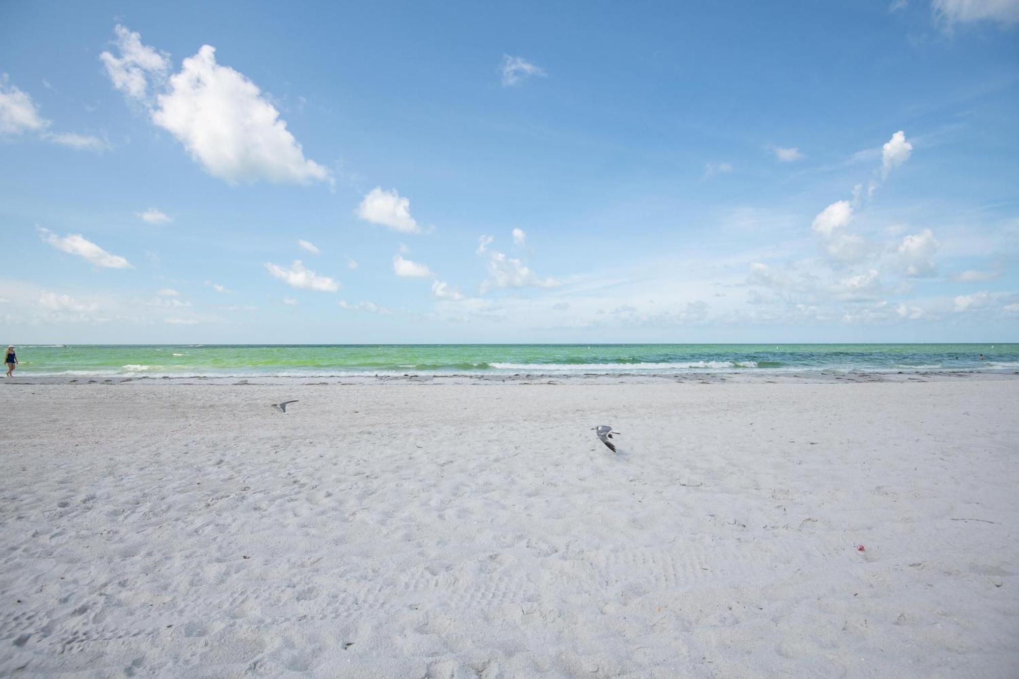 Willa Open - Beach, Free Parking, Amenities, Family Friendly St. Pete Beach Zewnętrze zdjęcie